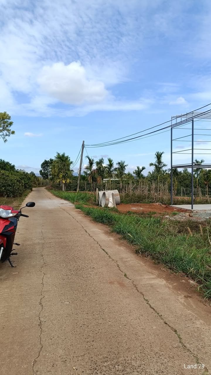 Đất nền Phú Lộc, Krông Năng 264m² giá 400 triệu - Tiềm năng tăng giá!