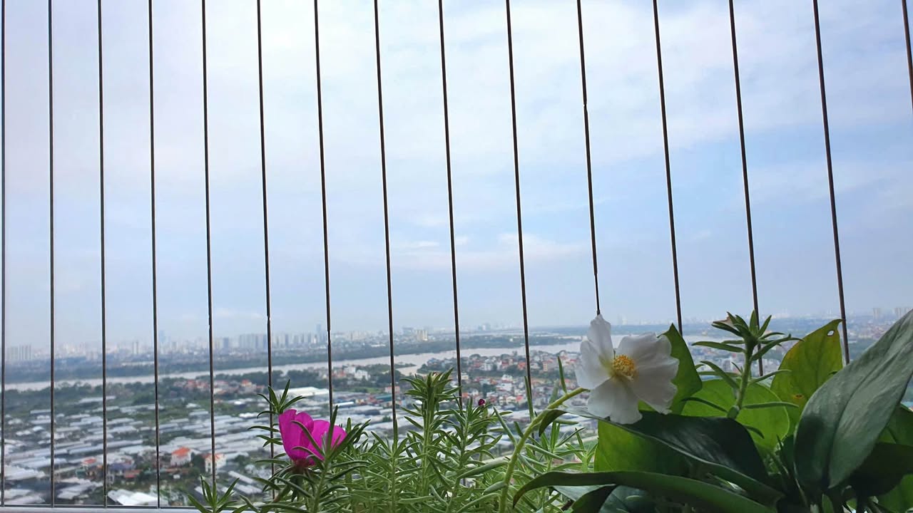 Căn hộ Khu Oasis Cầu Giấy 51m² - View sông Hồng cực đẹp!