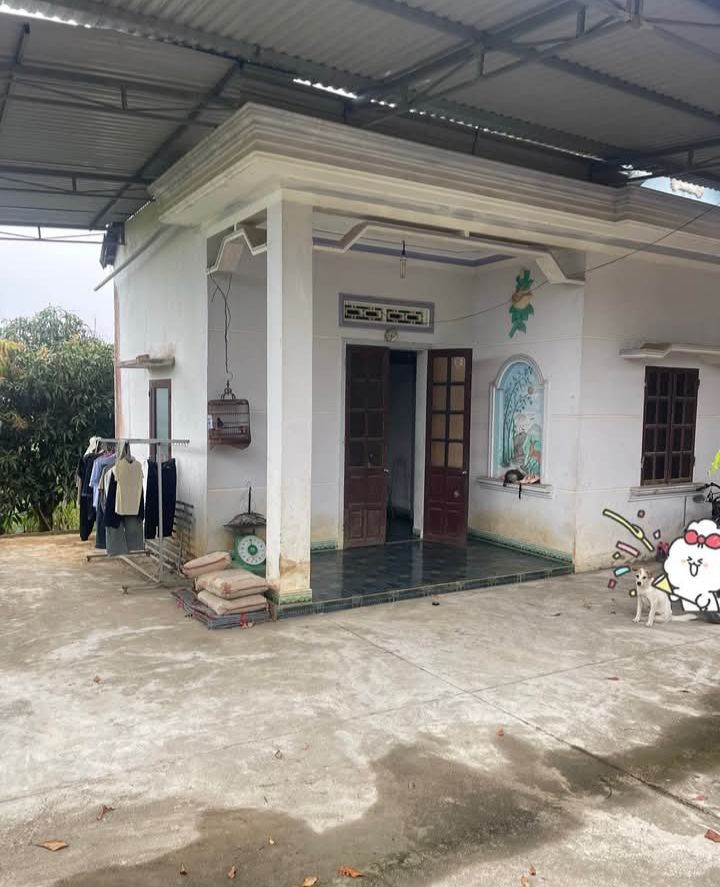 Nhà vườn Ea Kar 1440m² giá chỉ từ 700 triệu - Sinh thái xanh!