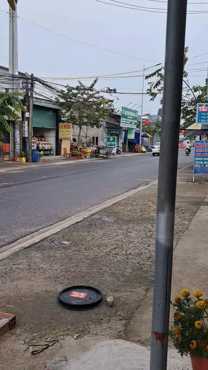 Cho thuê nhà mặt tiền Gò Hưu 48m² giá 6 triệu - Kinh doanh ngay!