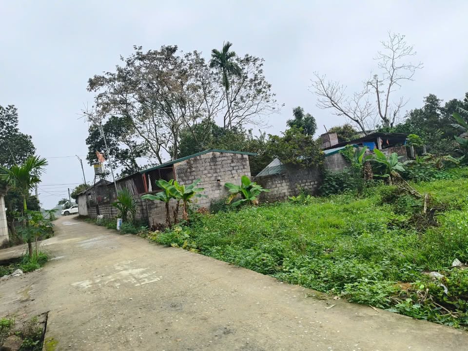 Đất Nền Gia Lâm, Nho Quan 100m² - Sổ Đỏ Sẵn Sàng, Giá 3 Tỷ