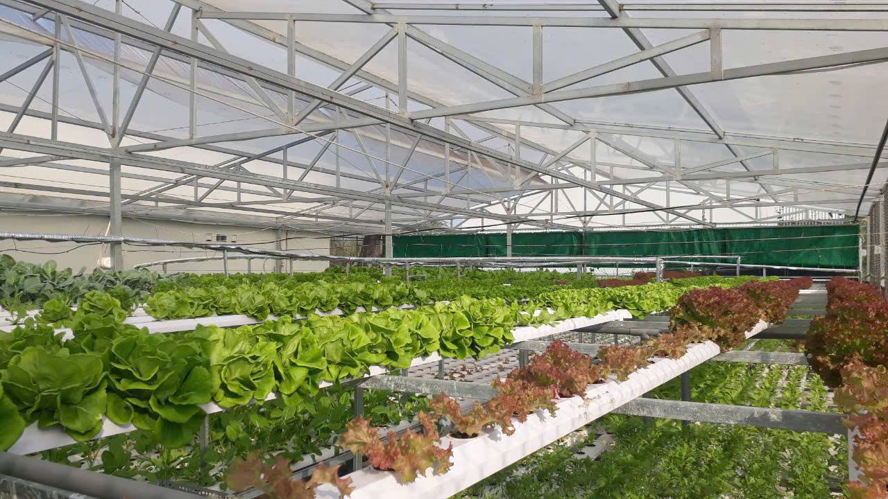 Bán Gấp 3 Thửa Đất Vàng Hẻm 986 Nguyễn Trung Trực, Rạch Giá - Sẵn Nền Bê Tông