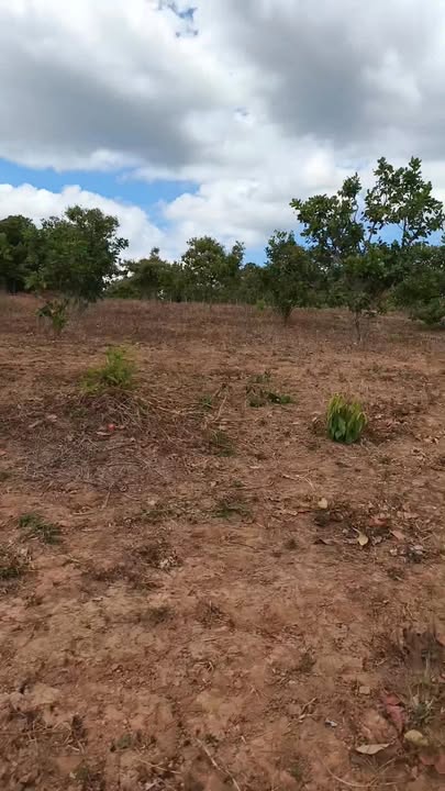 Bán đất 1800m² Xã Ia Dom, Đức Cơ, Gia Lai - Giá 550 Triệu, Sẵn Nước