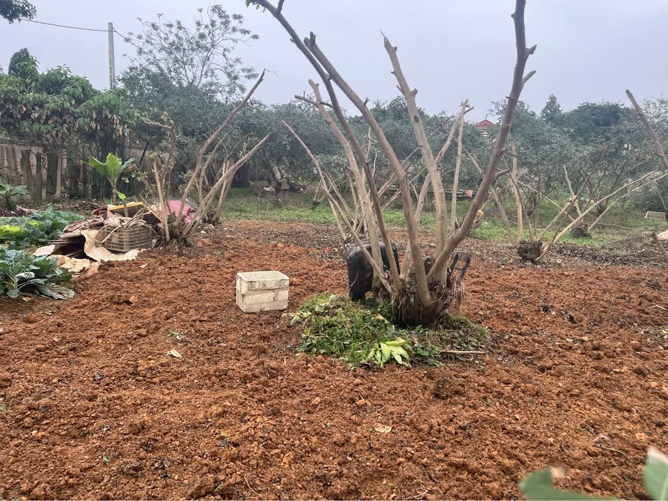 Đất nền Chùa Hang, Thái Nguyên 70m² – Sổ đỏ chính chủ, giá tốt!