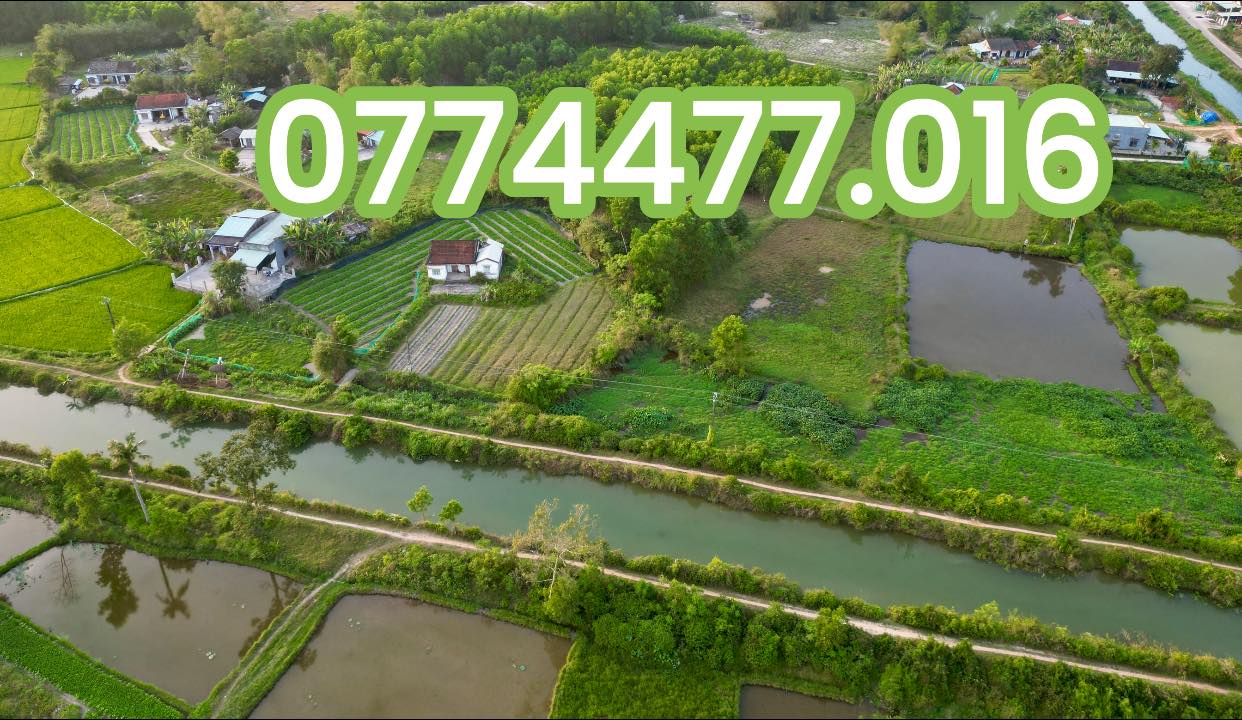 Đất nền Thăng Bình 1800m² sổ hồng sẵn - View đẹp, có nhà cấp 4