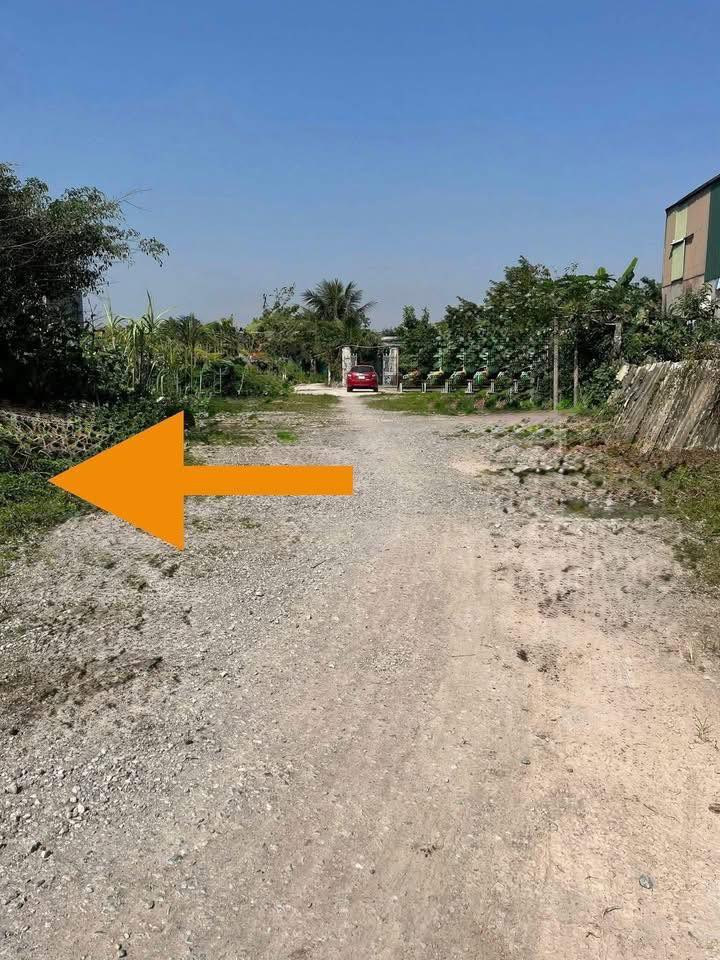 Đất nền 123m² Phượng Dực, Phú Xuyên - Pháp lý rõ ràng, tiềm năng sinh lời