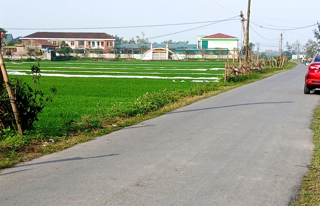 Bán đất thổ cư 216m² tại Xã Đỉnh Bàn, Nam Đàn, Nghệ An - Giá 1.7 tỷ, gần trường học