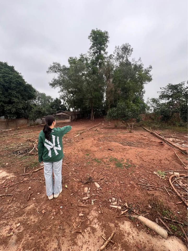 Đất nền Yên Mỹ Lạng Giang 103.5m² - Đường to ô tô