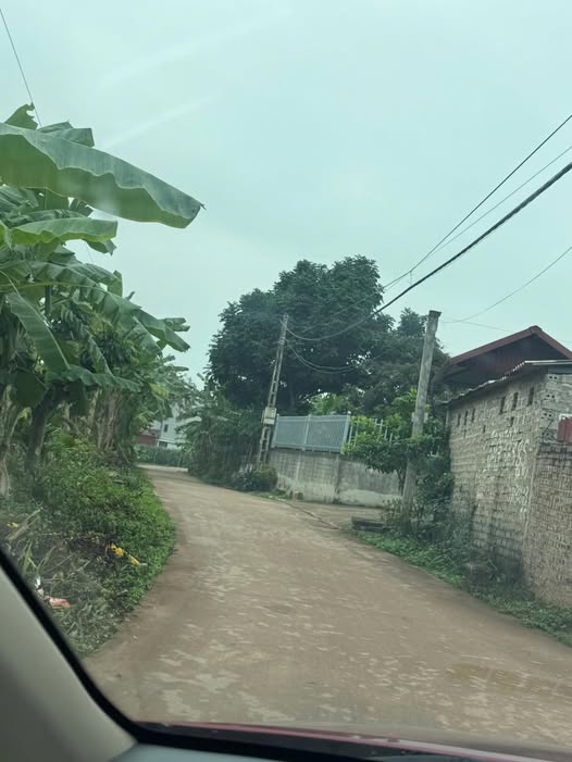 Đất nền Tuấn Mỹ, Lạng Giang 101m² - Đường to ô tô, tiềm năng sinh lời!