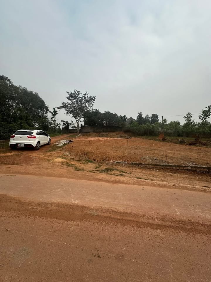 Đất nền Tân Yên 156m² - View đồng thoáng đãng, gần KCN Phúc Sơn