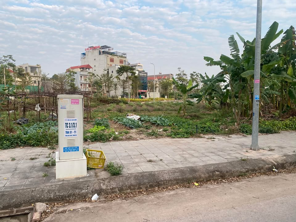 Đất nền 106m² Rùa Vàng Lạng Giang - Sổ đỏ chính chủ, tiềm năng tăng giá!