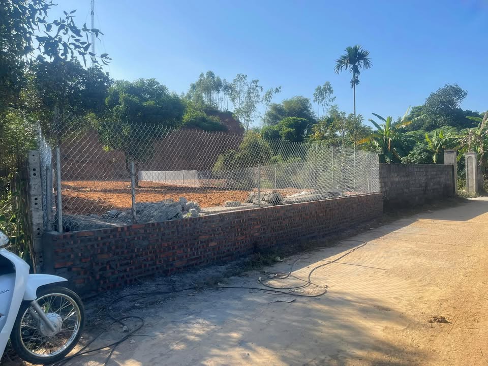 Đất nền Phượng Mao, Thanh Thủy 600m² - Tiềm năng tăng giá