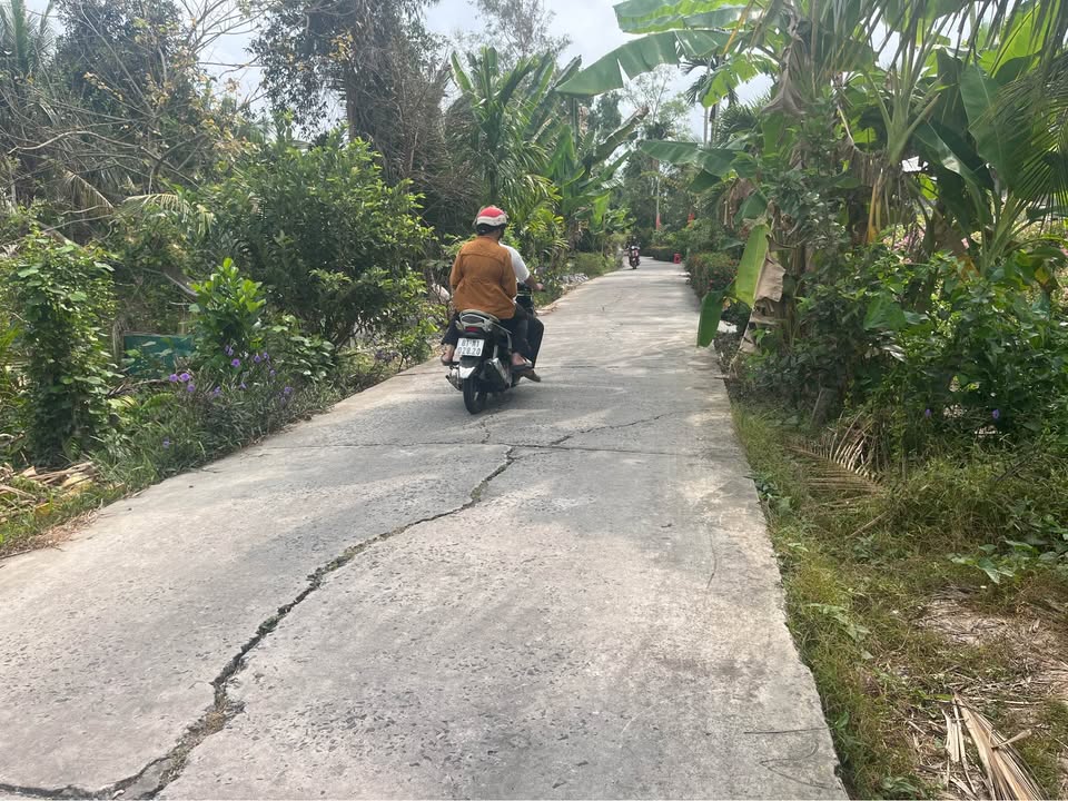 Bán Gấp Đất Vườn Hậu Giang 2400m² - Giá Đầu Tư 600 Triệu