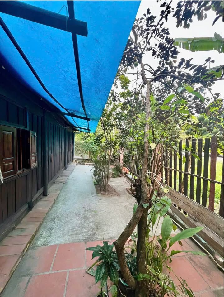 Cho thuê Nhà Gỗ sân vườn 624m² mặt tiền 28m, P. Hưng Phú, Cần Thơ - Giá 36 Triệu/Tháng