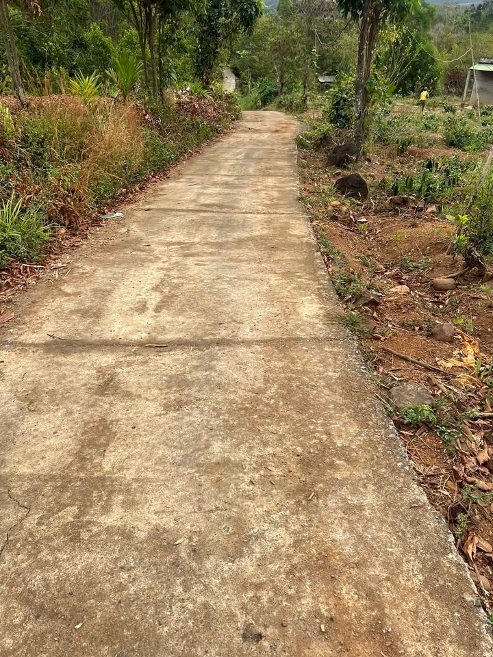 Đất Vườn Ea Nam 11.000m² giá 1.4 tỷ - Sinh thái xanh, tiềm năng lớn!