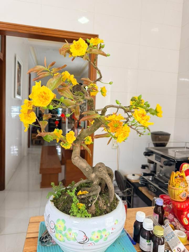 Nhà Kiệt Nguyễn Chi Thanh, Đông Hà - 120m² Giá Tốt, Dọn Vào Ở Ngay!