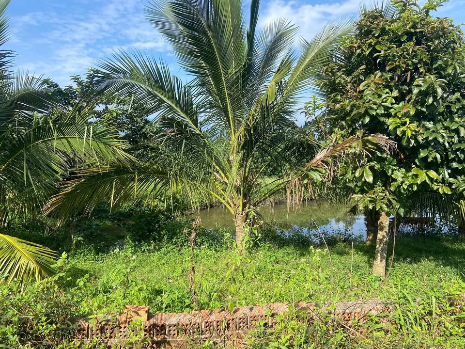 Bán Gấp Farm Đẹp 4000m² Thổ Cư, 3PN, Xưởng Mộc, Ao Cá - Bảo Lộc, Lâm Đồng