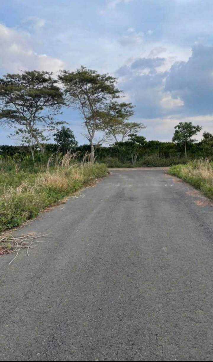 Đất nền Bảo Lộc 230m² giá 1.6 tỷ - Sổ đỏ chính chủ!