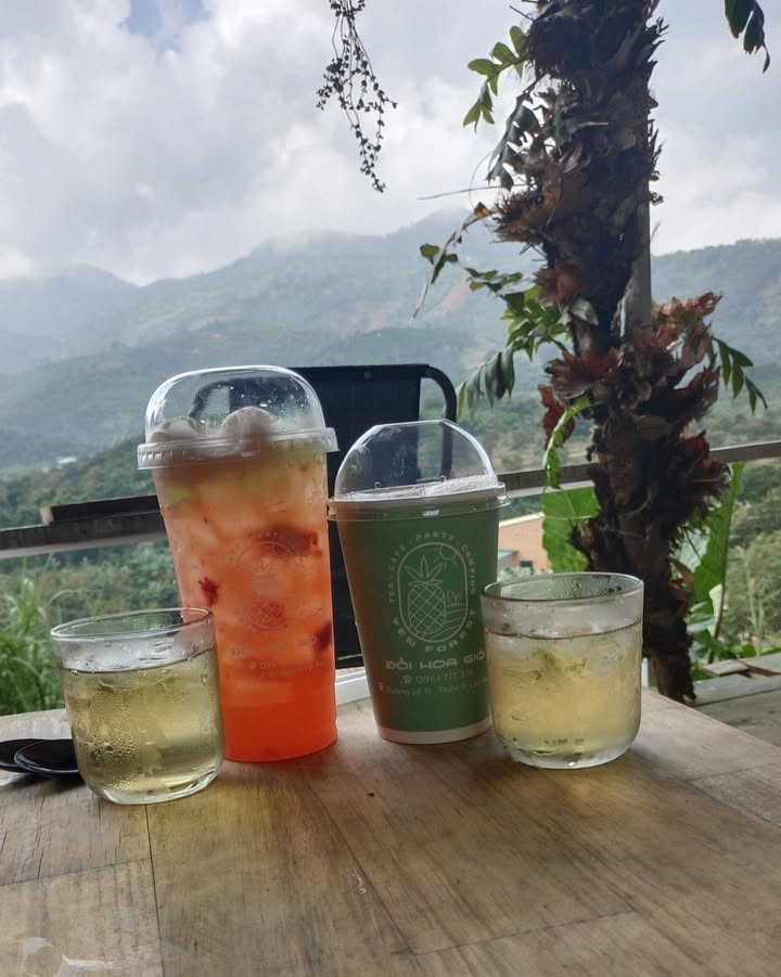 Đất Vườn 900m² Thôn 4 La Dạ - Sổ Đỏ Riêng, Giá Đầu Tư 900 Triệu