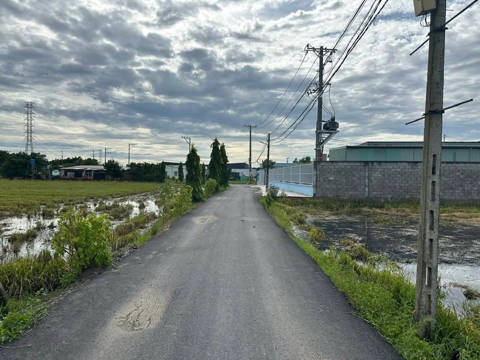 Bán đất lúa 1527m² Sổ hồng chính chủ tại Cần Đước, Long An - Giá 1.3 tỷ