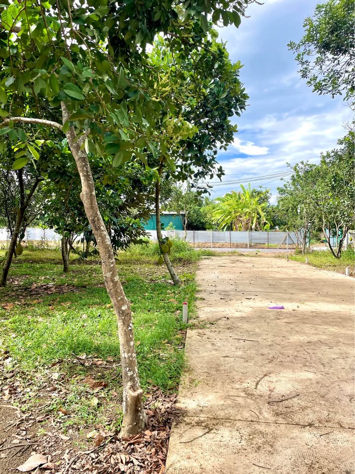 Đất nền Trảng Bom 200m² giá 400 triệu - Tiềm năng tăng giá!