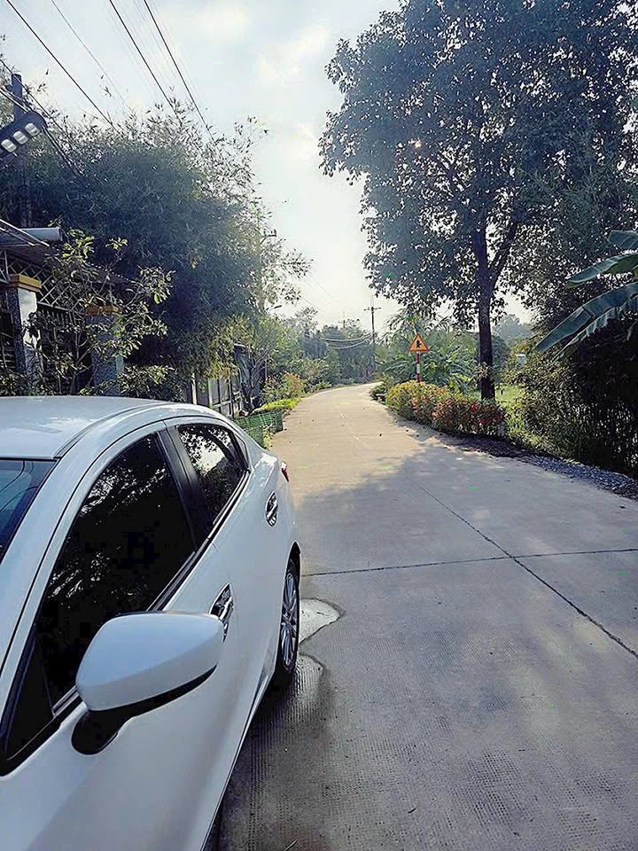 Đất Vườn Củ Chi 308m² Full Thổ Cư - Giá 3.85 Tỷ TL Ấp Cây Sộp