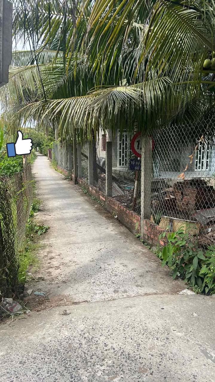 Đất nền Song Thuận 387m² giá chỉ từ 500 triệu - Tiềm năng tăng giá!