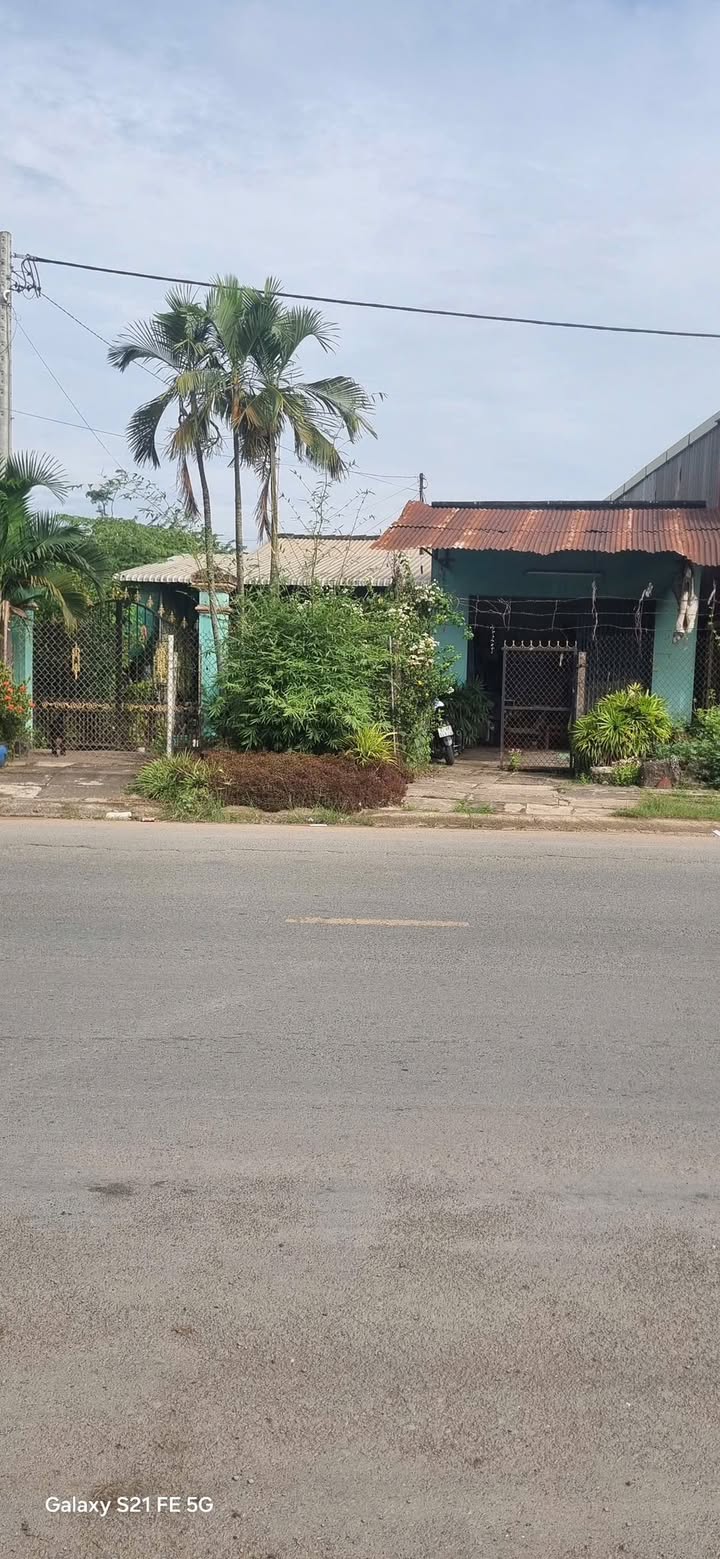 Đất Mặt Tiền Tỉnh Lộ 864, Tiền Giang - 508m² Tặng Kèm Nhà