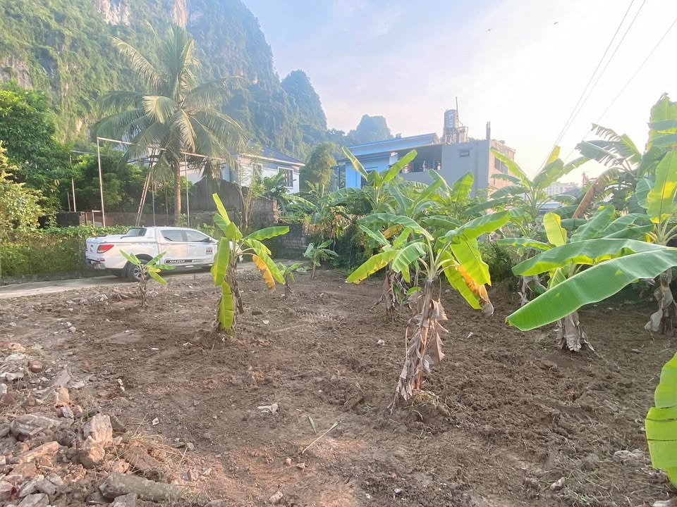 Đất nền Quang Hanh 71m² 720 triệu - Tiềm năng tăng giá!