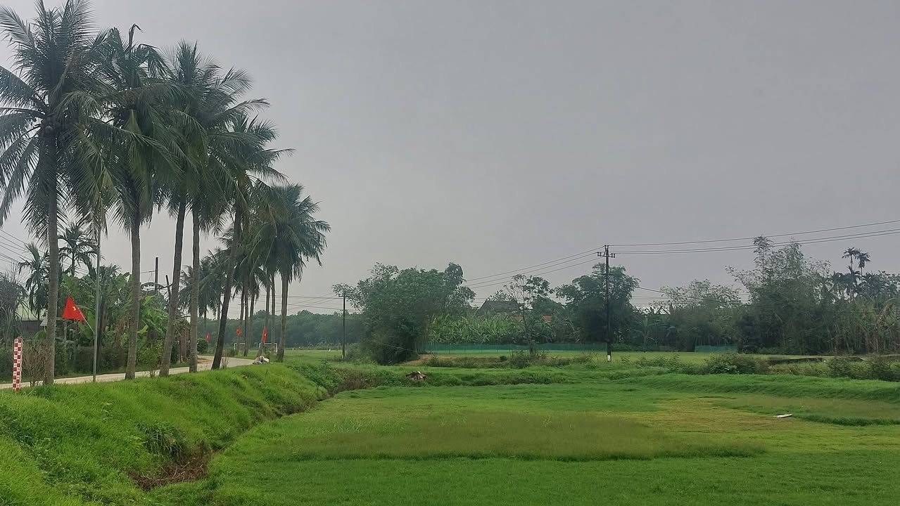 Đất Quảng Phú 224m² - Sổ đỏ chính chủ, tiềm năng sinh lời!