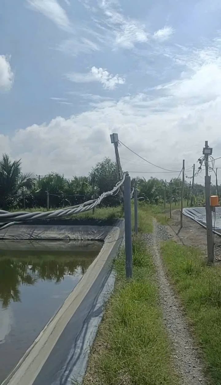 Đất nền Cần Giờ 162m² giá 480 triệu - Sổ đỏ chính chủ!