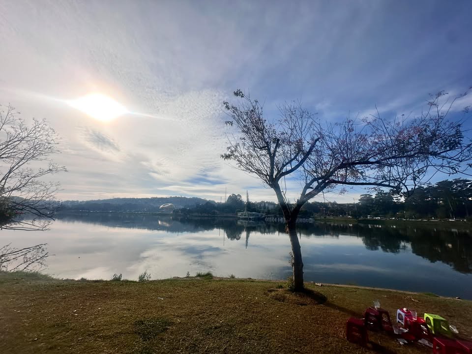 Nhà 135m² Trung Tâm Đà Lạt - 8 Tỷ, 2 Mặt Hẻm Thông, Dòng Tiền 20 Triệu/Tháng