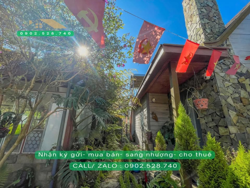 Khu Cafe Homestay Quốc Lộ 27C Lạc Dương 805m² - Đầu tư sinh lời!