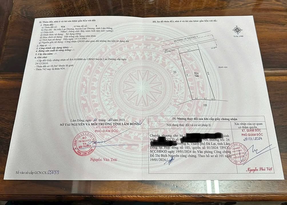 Đất Mặt Tiền 19/5 Đà Lạt 710m² - Sổ Đỏ Sẵn Sàng Đầu Tư Sinh Lời