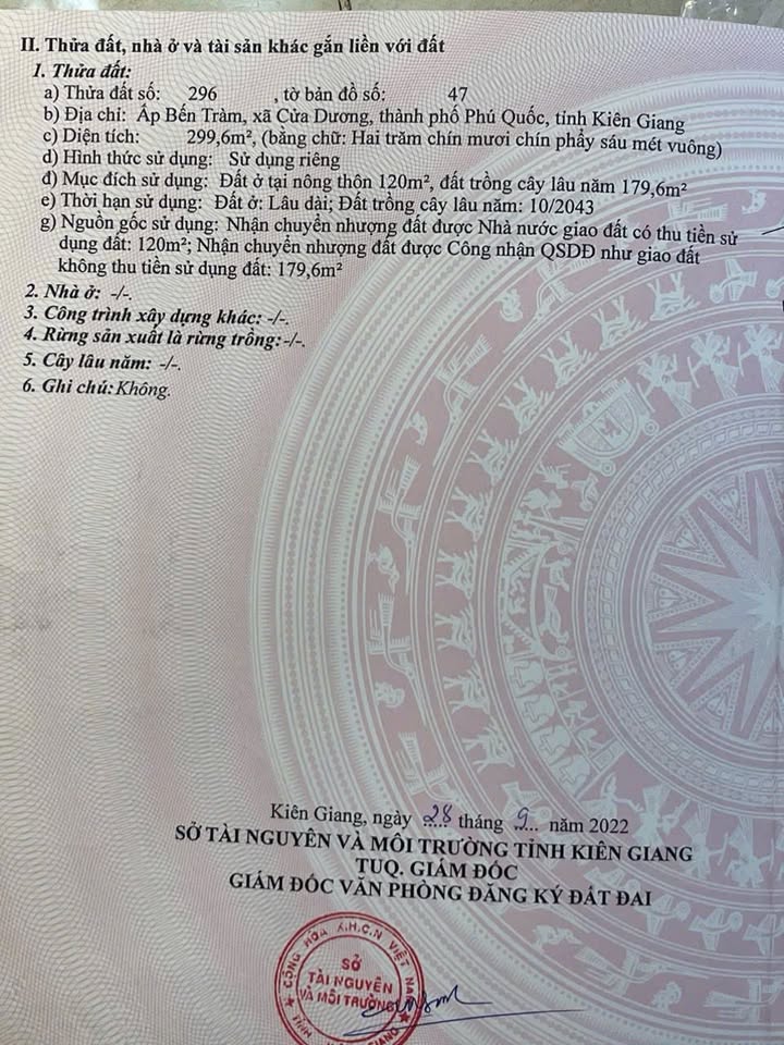 Mặt Tiền Bến Tràm Phú Quốc - 300m² Kinh Doanh Đắc Địa - 4.9 Tỷ