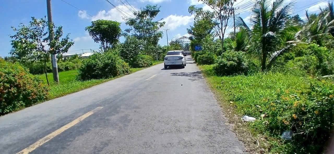 Đất mặt tiền Cái Ngang Tam Bình 480m² - Mặt tiền kinh doanh đắc địa!