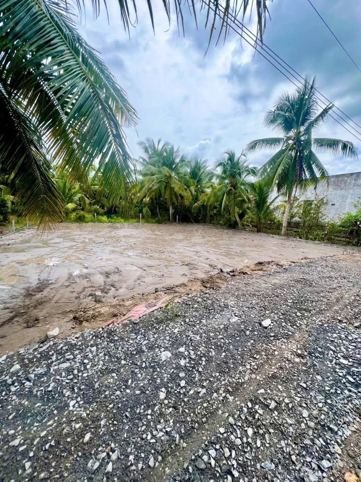 Đất Nền Vĩnh Long 100m² - Sổ Đỏ Riêng Chỉ 199 Triệu