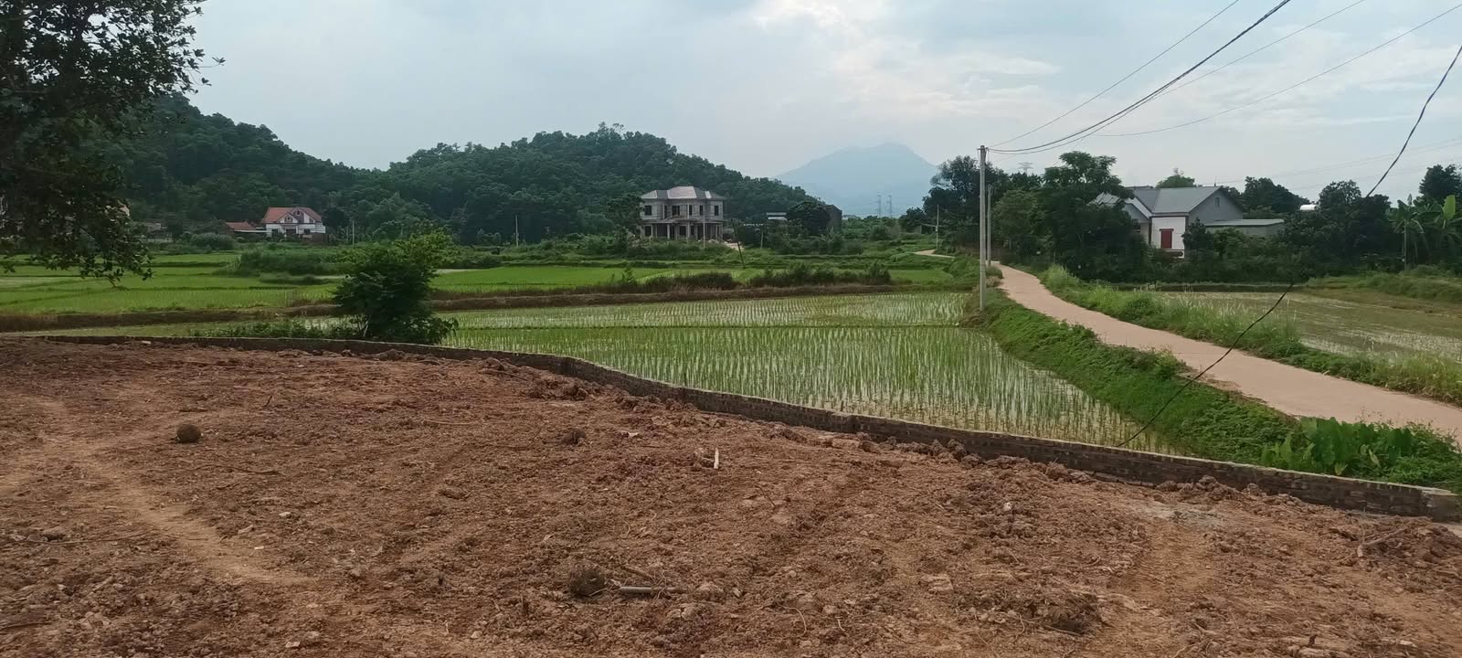 Đất nền Sóc Sơn 850m² - Giá tốt hiếm có, Sổ đỏ sẵn sàng