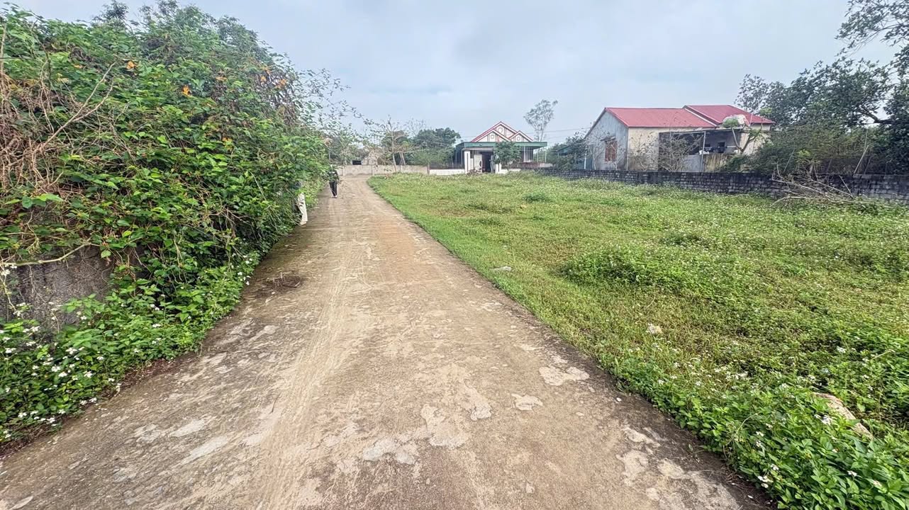 Đất nền Nghi Kiều, Nghi Lộc 145m² - Sổ đỏ chính chủ