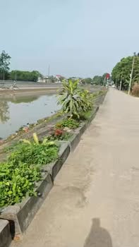 Đất nền Thị trấn Nông Cống 125m² - View Sông Chuối, Giá 1.2 Tỷ