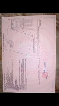 Đất nông nghiệp Xã Nhơn Đức, Nhà Bè 6500m² - Tiềm năng tăng giá vượt trội!