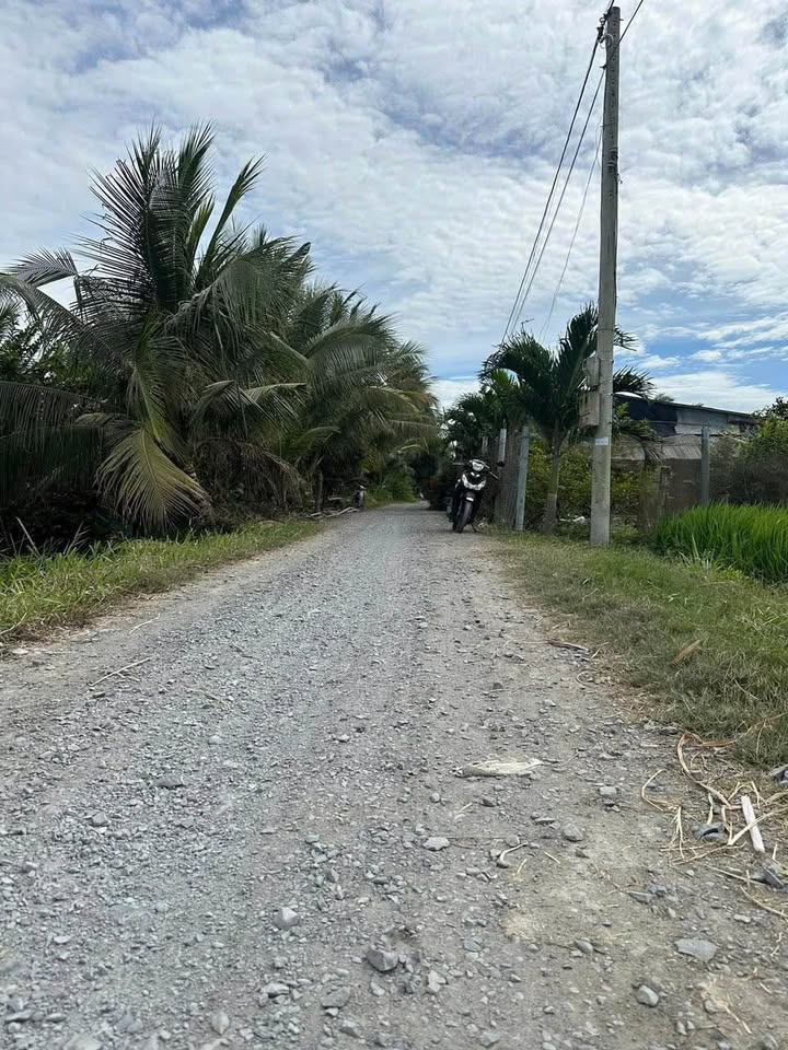 Đất Vườn Tiền Giang 28875m² - Sổ Hồng Sẵn, Giá 3.3 Tỷ - Chính Chủ