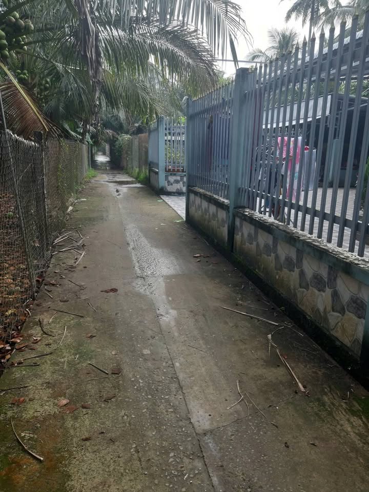 Nhà riêng Xã Tam Phước 1000m² - Sổ hồng sẵn, ô tô vào tận nơi!