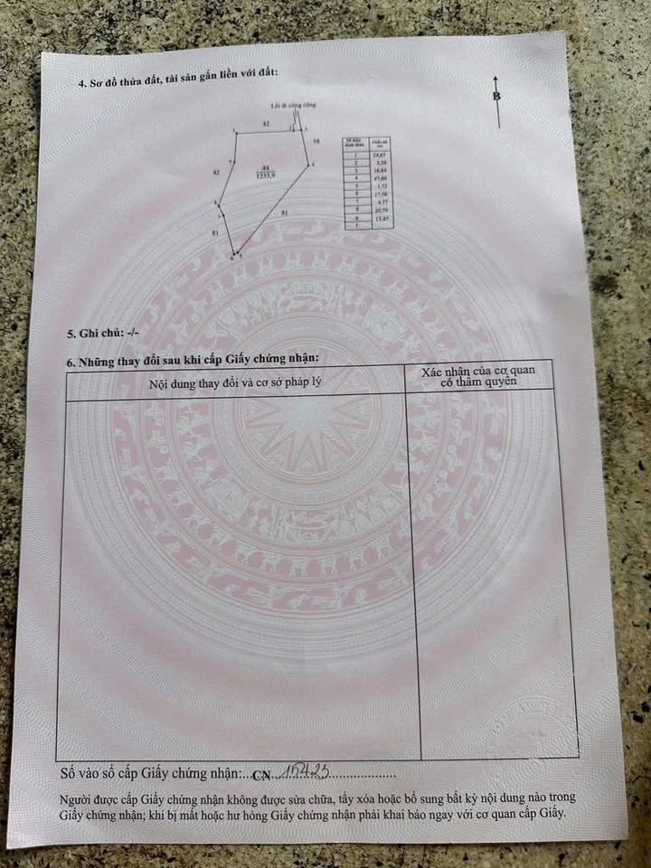 Bán Gấp Đất Ruộng 1233m² Mặt Tiền Đường Xe Máy, Long An - Sổ Đỏ