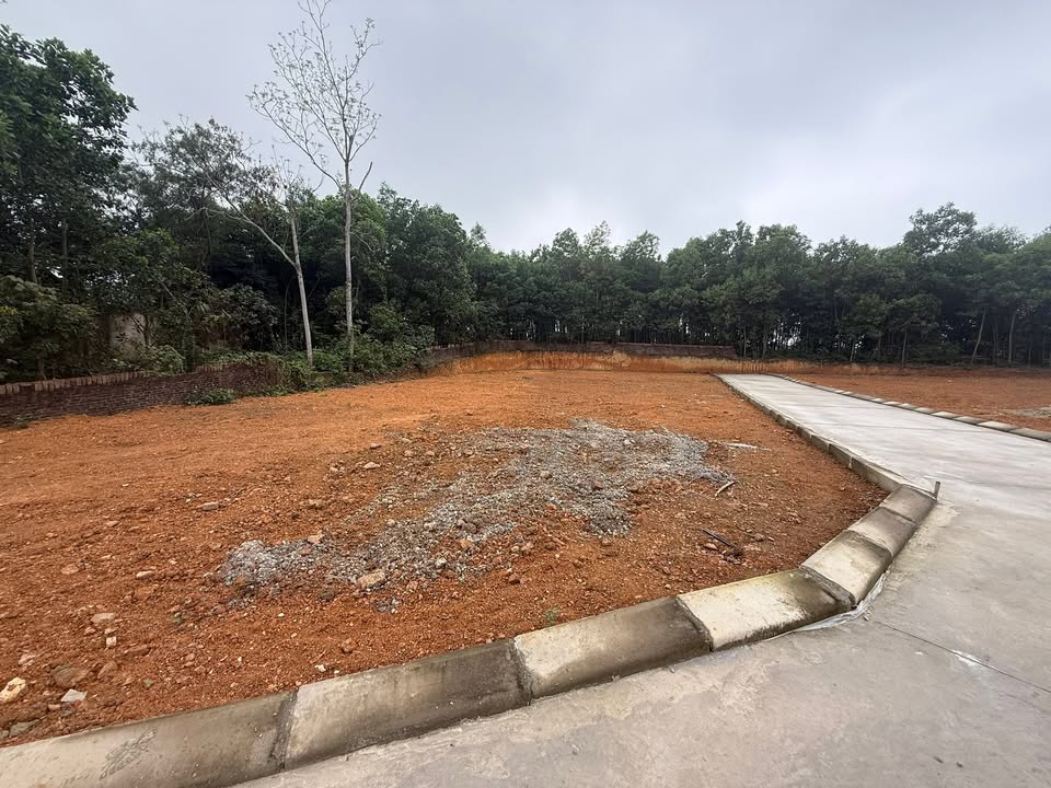 Đất nền Trung Giã Sóc Sơn 1.903m² - Tiềm năng tăng giá