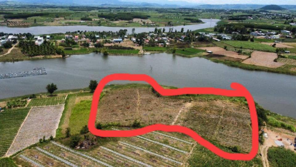 Đất Vườn An Khê Gia Lai 8000m² - Nghỉ Dưỡng Lý Tưởng, Sổ Đỏ Sẵn