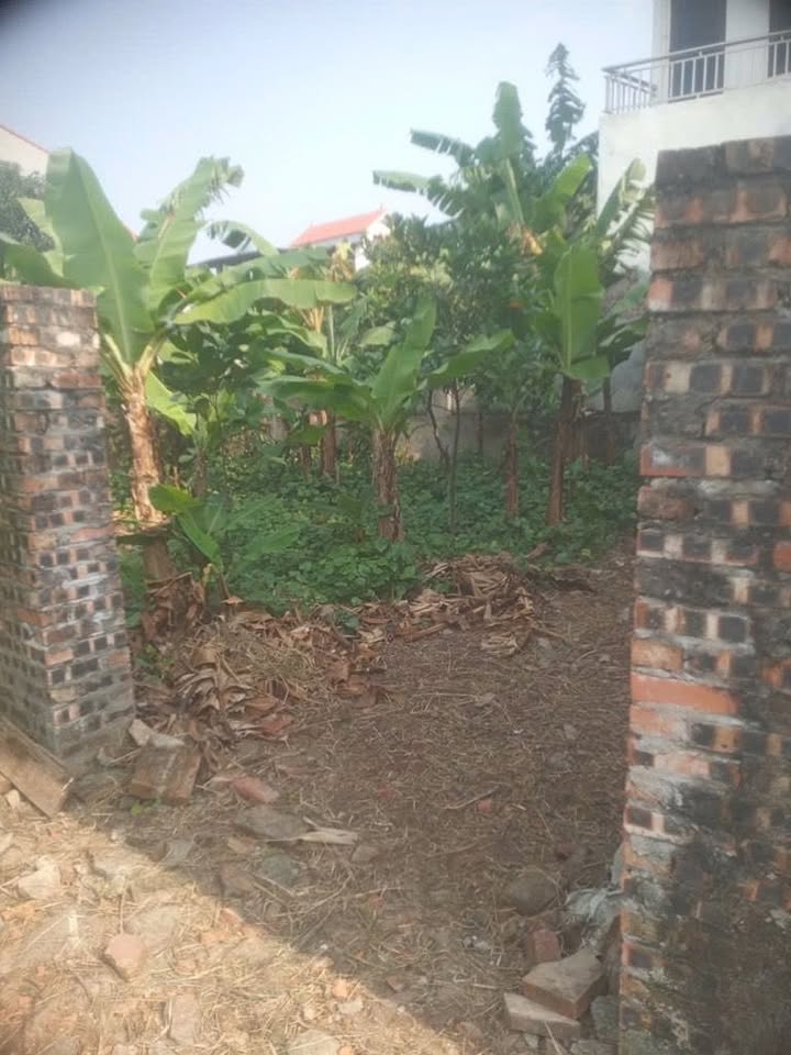 Đất nền Thôn Giao Tất A, Gia Lâm 100m² giá 3.5 tỷ - Sổ đỏ chính chủ