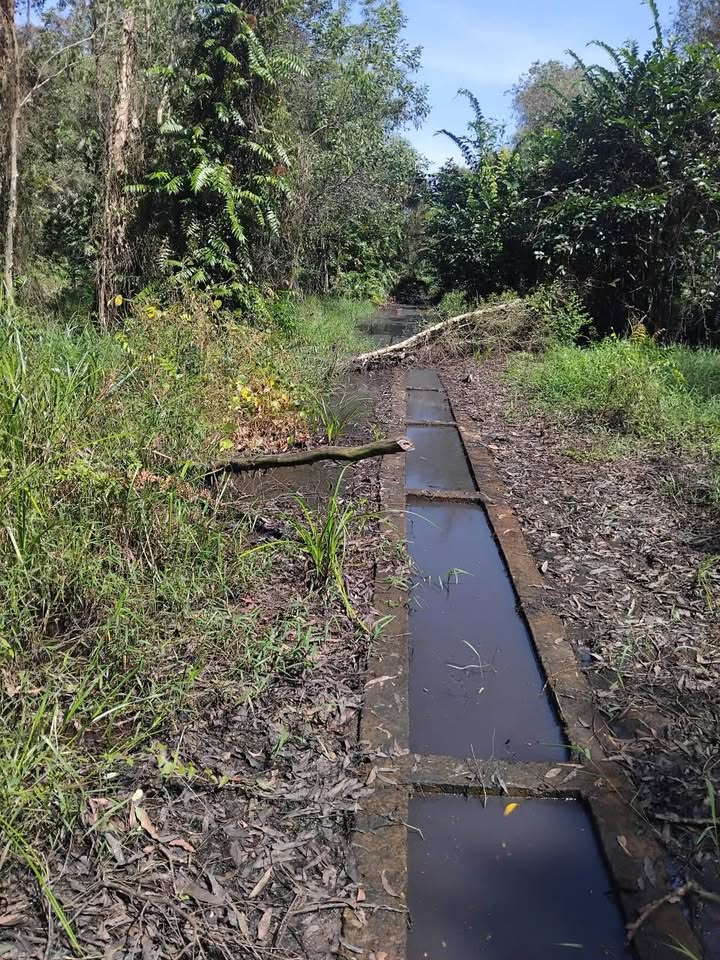 Đất vườn Thái Mỹ, Củ Chi 14.000m² 4.9 tỷ - Tiềm năng tăng giá vượt trội!