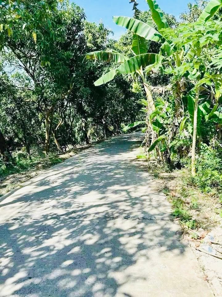 Đất Nền Cao Lãnh 140m² - Giá 600 Triệu Sổ Đỏ Chính Chủ