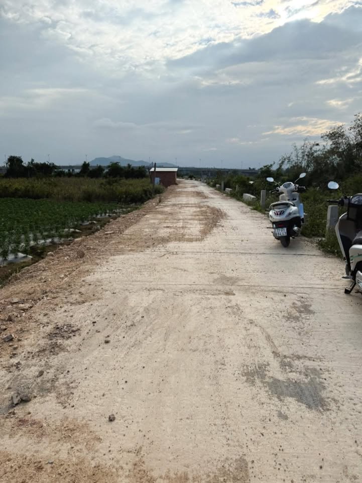 Đất vườn Tuy Phước 1191m² - View sông tuyệt đẹp, nghỉ dưỡng lý tưởng!